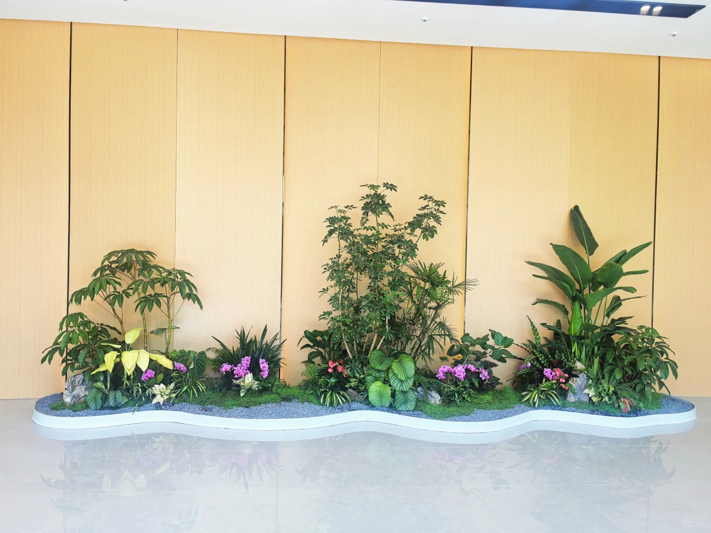 价格亲民的前湾花卉出租,为你带来缤纷世界!